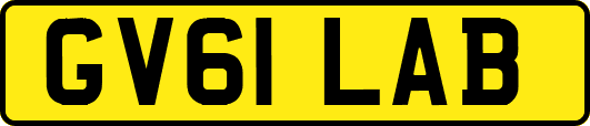GV61LAB