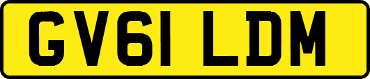 GV61LDM