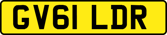 GV61LDR