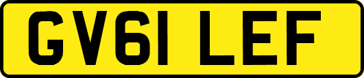 GV61LEF