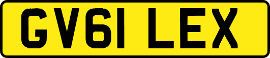 GV61LEX