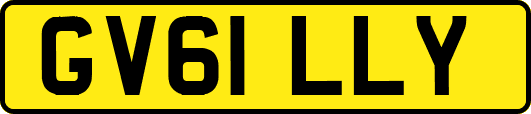 GV61LLY
