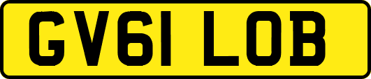GV61LOB