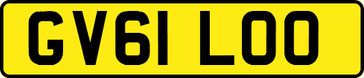 GV61LOO