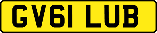 GV61LUB