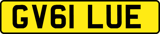 GV61LUE