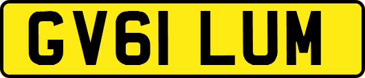 GV61LUM