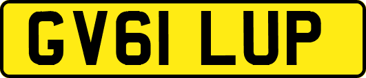 GV61LUP