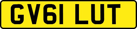 GV61LUT