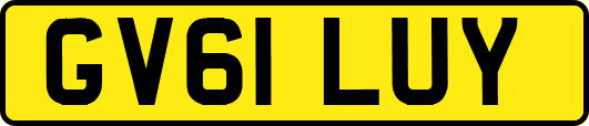 GV61LUY