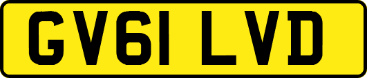 GV61LVD