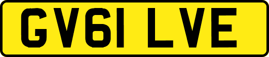 GV61LVE
