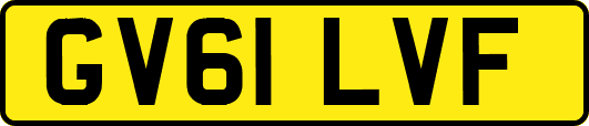 GV61LVF