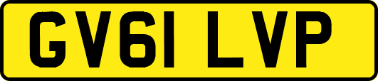 GV61LVP