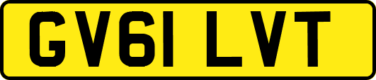 GV61LVT