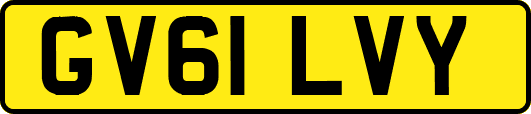 GV61LVY
