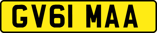 GV61MAA