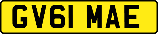 GV61MAE