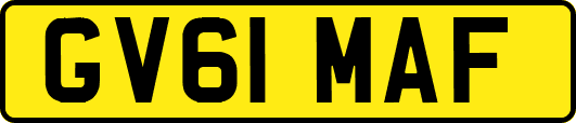 GV61MAF
