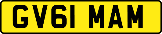 GV61MAM