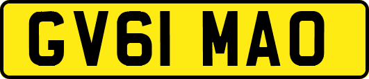 GV61MAO