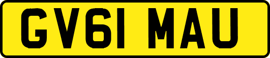 GV61MAU