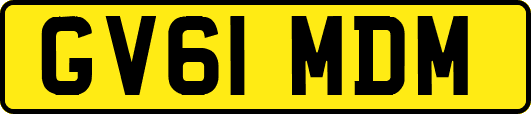 GV61MDM