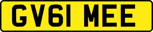 GV61MEE