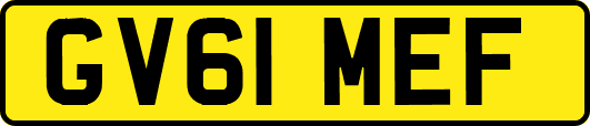 GV61MEF