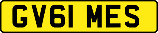 GV61MES