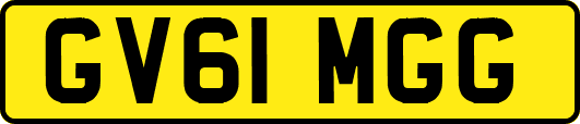 GV61MGG