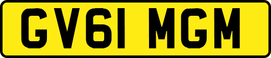 GV61MGM