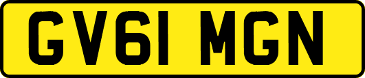 GV61MGN