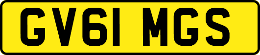 GV61MGS