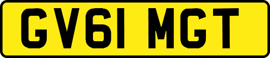 GV61MGT