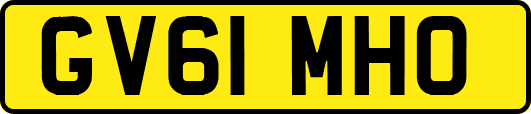GV61MHO