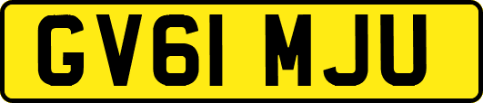 GV61MJU