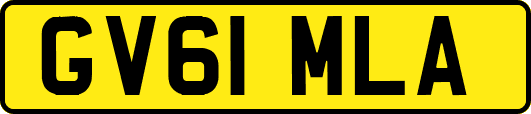 GV61MLA