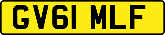 GV61MLF