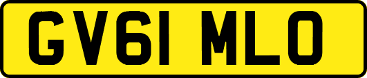 GV61MLO