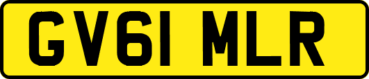 GV61MLR