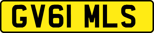GV61MLS