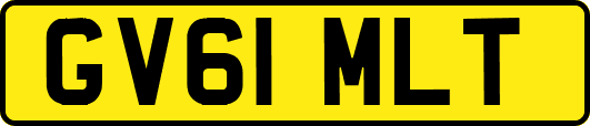 GV61MLT