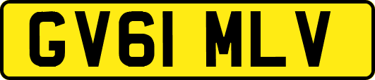 GV61MLV