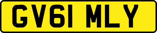 GV61MLY