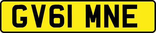 GV61MNE