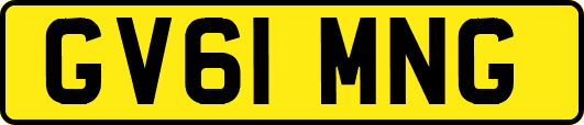 GV61MNG