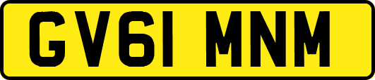 GV61MNM