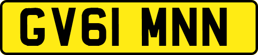 GV61MNN