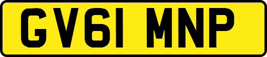 GV61MNP